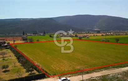 MUĞLA MENTEŞE MUSLİHİTTİN'DE 21 DÖNÜM YATIRIMLIK TARLA