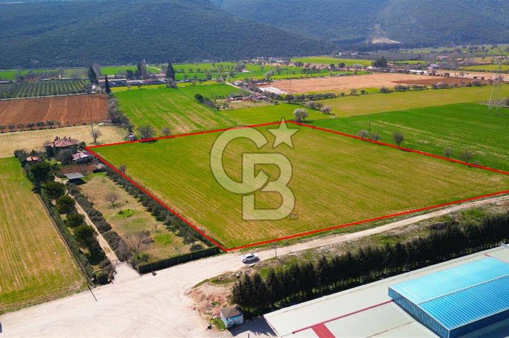 MUĞLA MENTEŞE MUSLİHİTTİN'DE 21 DÖNÜM YATIRIMLIK TARLA