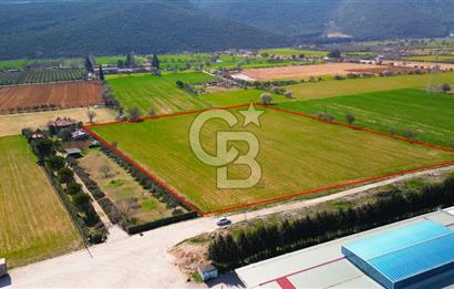 MUĞLA MENTEŞE MUSLİHİTTİN'DE 21 DÖNÜM YATIRIMLIK TARLA