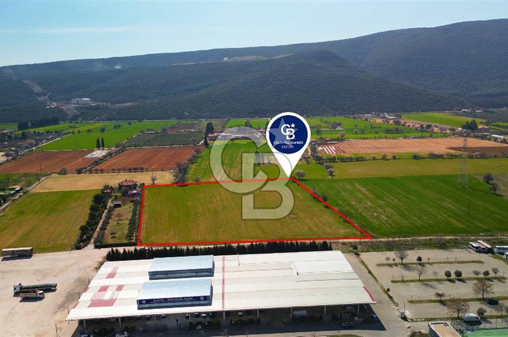 MUĞLA MENTEŞE MUSLİHİTTİN'DE 21 DÖNÜM YATIRIMLIK TARLA