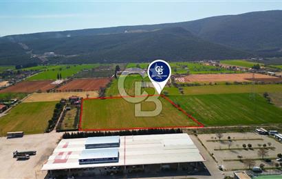 MUĞLA MENTEŞE MUSLİHİTTİN'DE 21 DÖNÜM YATIRIMLIK TARLA