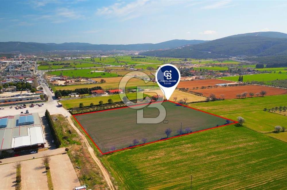 MUĞLA MENTEŞE MUSLİHİTTİN'DE 21 DÖNÜM YATIRIMLIK TARLA