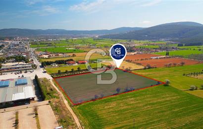 MUĞLA MENTEŞE MUSLİHİTTİN'DE 21 DÖNÜM YATIRIMLIK TARLA