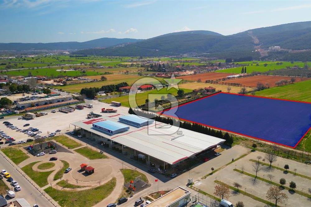 MUĞLA MENTEŞE MUSLİHİTTİN'DE 21 DÖNÜM YATIRIMLIK TARLA