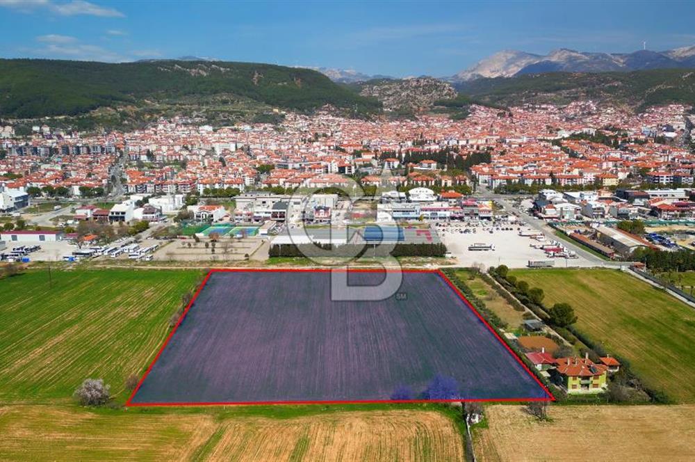 MUĞLA MENTEŞE MUSLİHİTTİN'DE 21 DÖNÜM YATIRIMLIK TARLA