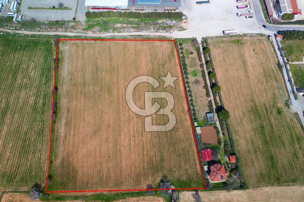 MUĞLA MENTEŞE MUSLİHİTTİN'DE 21 DÖNÜM YATIRIMLIK TARLA