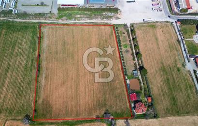 MUĞLA MENTEŞE MUSLİHİTTİN'DE 21 DÖNÜM YATIRIMLIK TARLA