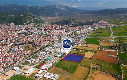 MUĞLA MENTEŞE MUSLİHİTTİN'DE 21 DÖNÜM YATIRIMLIK TARLA