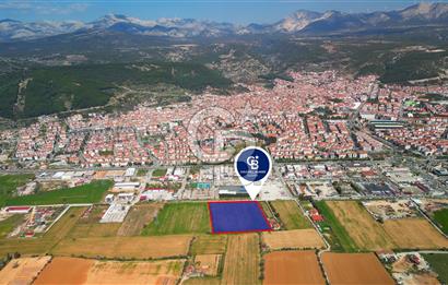 MUĞLA MENTEŞE MUSLİHİTTİN'DE 21 DÖNÜM YATIRIMLIK TARLA