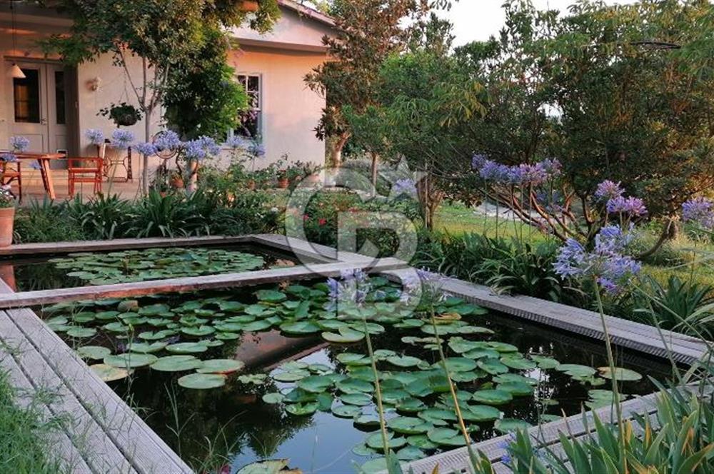 Doğanın Kalbinde Saklı Bir Cennet: Modern ve Masalsı Kiralık Ev