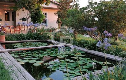 Doğanın Kalbinde Saklı Bir Cennet: Modern ve Masalsı Kiralık Ev