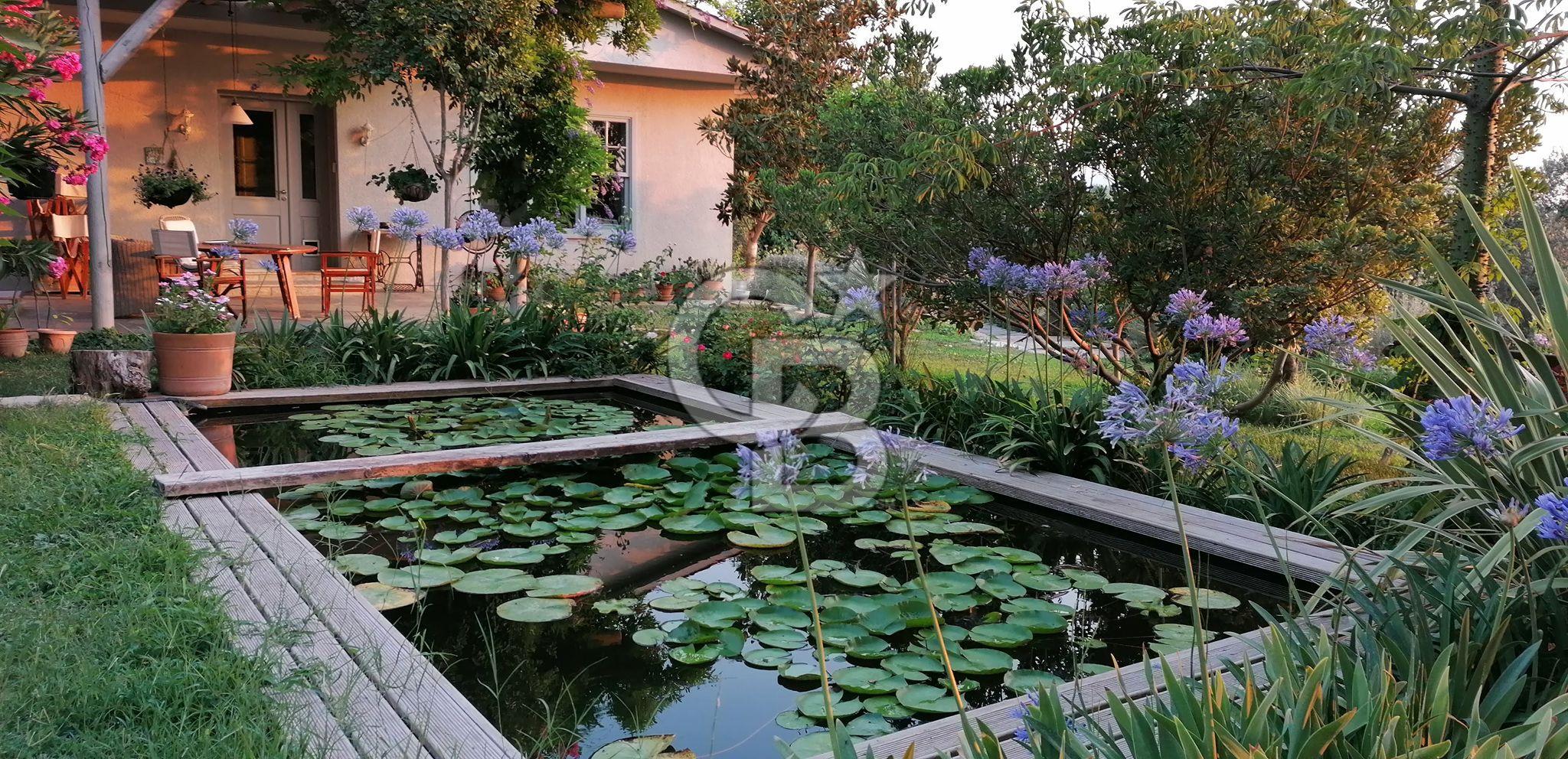 Doğanın Kalbinde Saklı Bir Cennet: Modern ve Masalsı Kiralık Ev