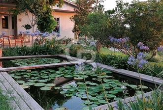 Doğanın Kalbinde Saklı Bir Cennet: Modern ve Masalsı Kiralık Ev - 2 - 343036