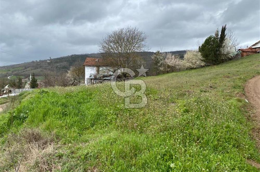 CB LEADER DAN SATILIK TARLA VE ARSA