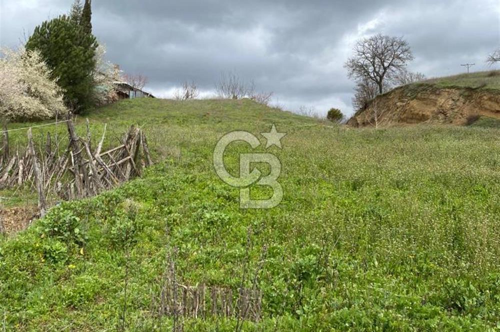 CB LEADER DAN SATILIK TARLA VE ARSA