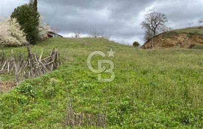 CB LEADER DAN SATILIK TARLA VE ARSA