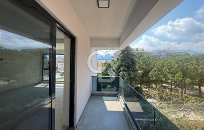 Bereketler Mah. Adliye Sarayı Yakını 50 m² Kiralık Ofis