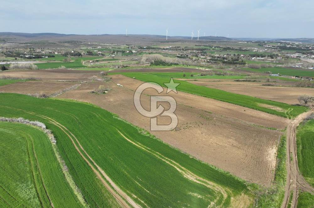 ÇATALCA İNCEĞİZDE SATILIK 1125 METRE ÇAPLI TARLA