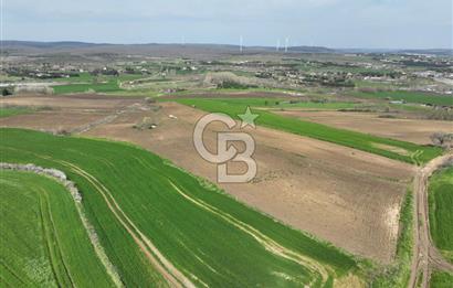 ÇATALCA İNCEĞİZDE SATILIK 1125 METRE ÇAPLI TARLA