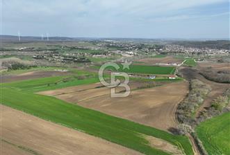 ÇATALCA İNCEĞİZDE SATILIK 1125 METRE ÇAPLI TARLA - 1 - 343076