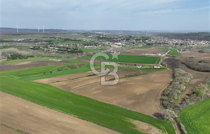 ÇATALCA İNCEĞİZDE SATILIK 1125 METRE ÇAPLI TARLA