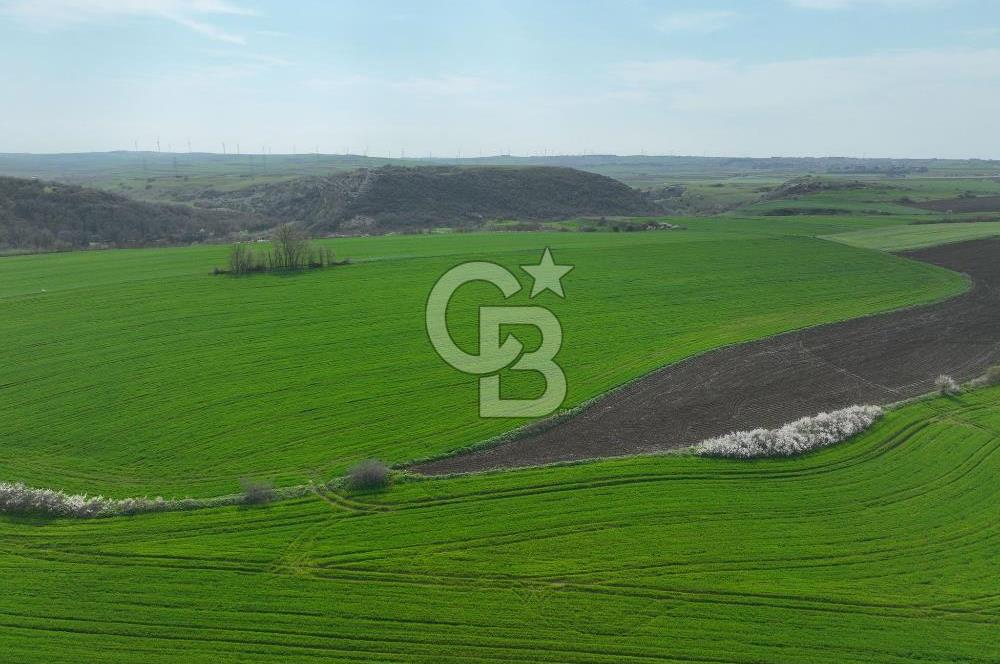 ÇATALCA İNCEĞİZDE SATILIK 1125 METRE ÇAPLI TARLA
