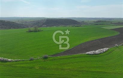 ÇATALCA İNCEĞİZDE SATILIK 1125 METRE ÇAPLI TARLA