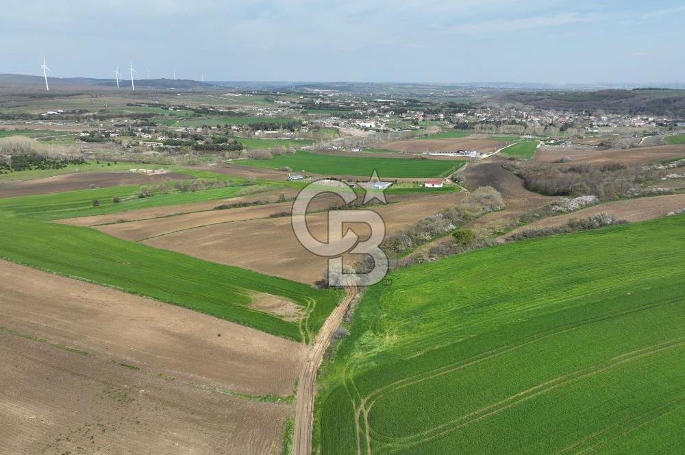 ÇATALCA İNCEĞİZDE SATILIK 1125 METRE ÇAPLI TARLA