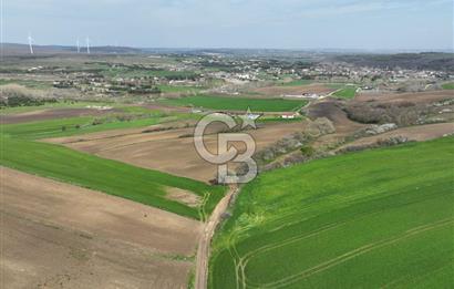 ÇATALCA İNCEĞİZDE SATILIK 1125 METRE ÇAPLI TARLA