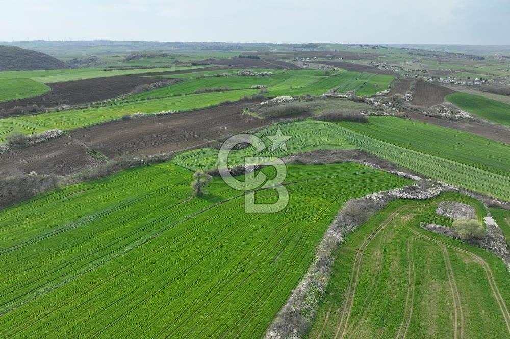 ÇATALCA İNCEĞİZDE SATILIK 1125 METRE ÇAPLI TARLA