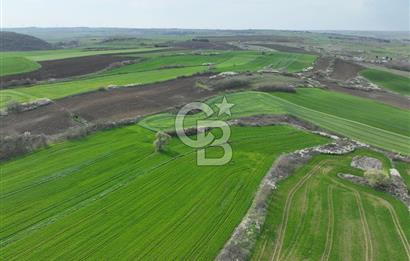 ÇATALCA İNCEĞİZDE SATILIK 1125 METRE ÇAPLI TARLA