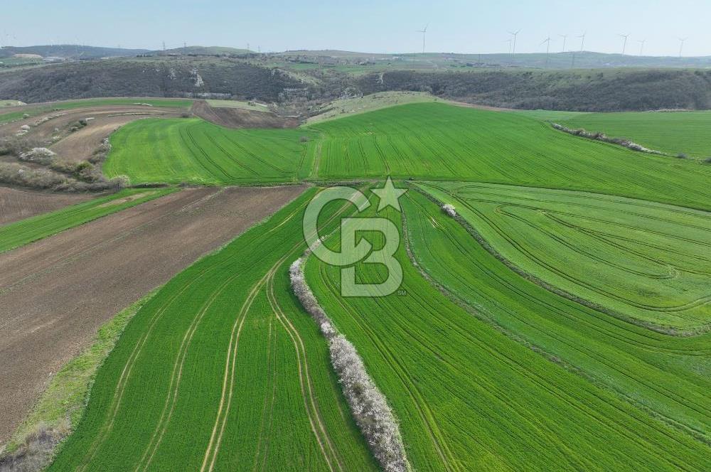 ÇATALCA İNCEĞİZDE SATILIK 1125 METRE ÇAPLI TARLA