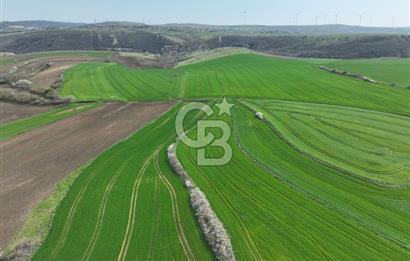 ÇATALCA İNCEĞİZDE SATILIK 1125 METRE ÇAPLI TARLA