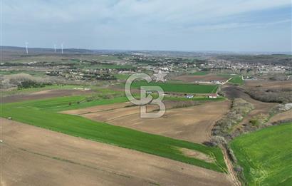 ÇATALCA İNCEĞİZDE SATILIK 1125 METRE ÇAPLI TARLA