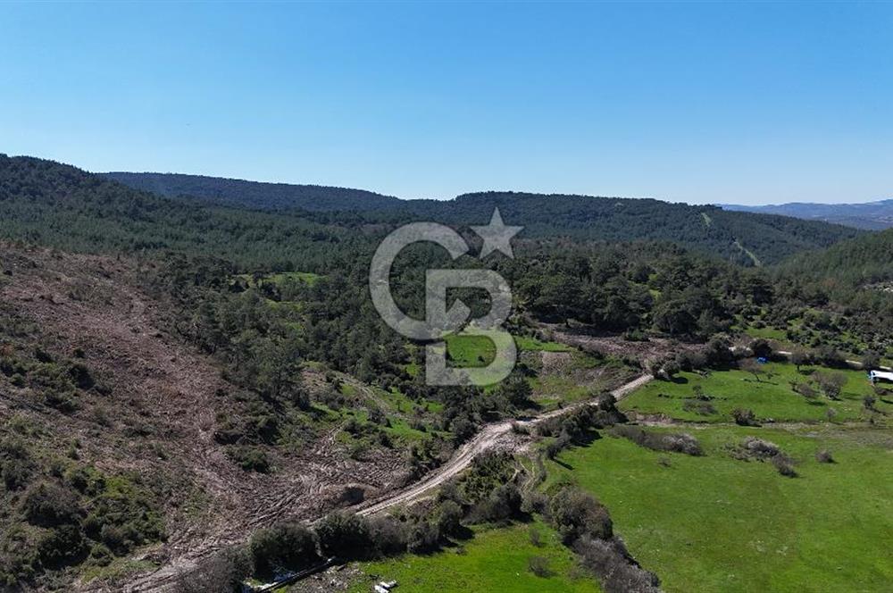 ÇANAKKALE AYVACIK KAYALAR KÖYÜNDE 8.004 m² SATILIK TARLA