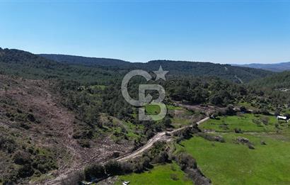 ÇANAKKALE AYVACIK KAYALAR KÖYÜNDE 8.004 m² SATILIK TARLA