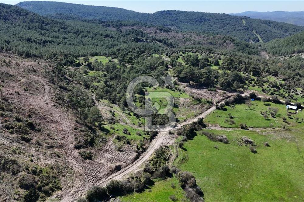 ÇANAKKALE AYVACIK KAYALAR KÖYÜNDE 8.004 m² SATILIK TARLA