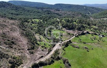 ÇANAKKALE AYVACIK KAYALAR KÖYÜNDE 8.004 m² SATILIK TARLA