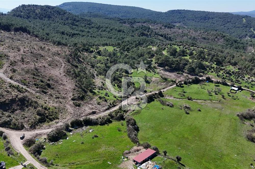 ÇANAKKALE AYVACIK KAYALAR KÖYÜNDE 8.004 m² SATILIK TARLA