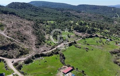 ÇANAKKALE AYVACIK KAYALAR KÖYÜNDE 8.004 m² SATILIK TARLA