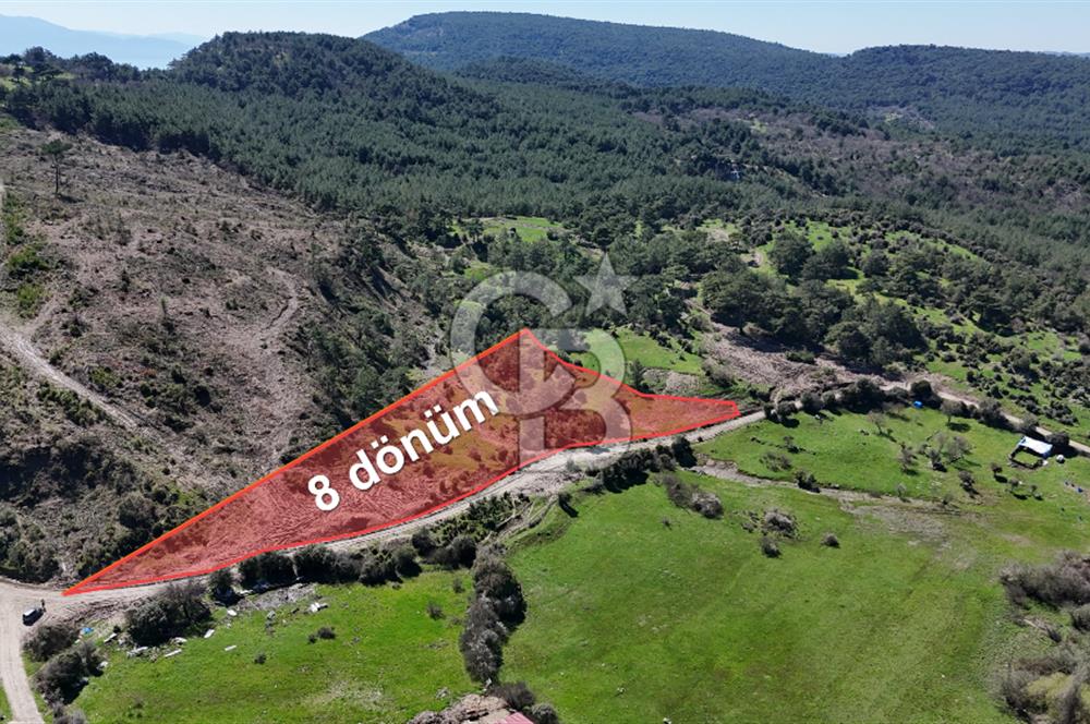 ÇANAKKALE AYVACIK KAYALAR KÖYÜNDE 8.004 m² SATILIK TARLA