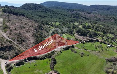 ÇANAKKALE AYVACIK KAYALAR KÖYÜNDE 8.004 m² SATILIK TARLA