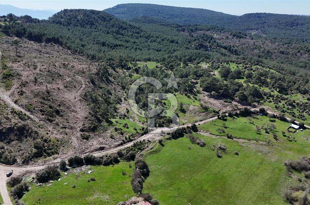 ÇANAKKALE AYVACIK KAYALAR KÖYÜNDE 8.004 m² SATILIK TARLA