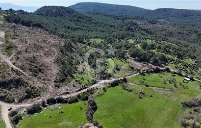 ÇANAKKALE AYVACIK KAYALAR KÖYÜNDE 8.004 m² SATILIK TARLA