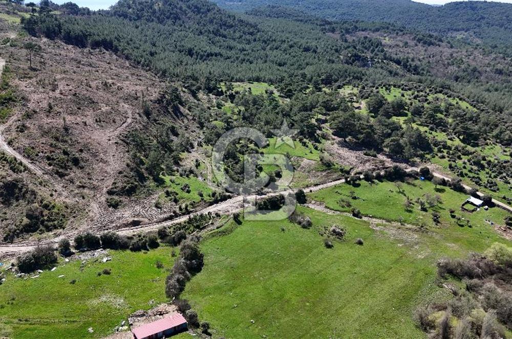 ÇANAKKALE AYVACIK KAYALAR KÖYÜNDE 8.004 m² SATILIK TARLA