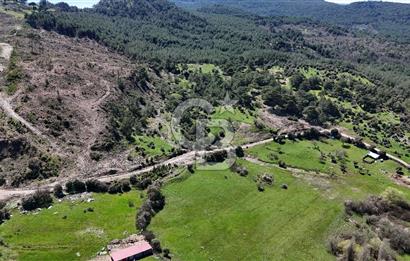 ÇANAKKALE AYVACIK KAYALAR KÖYÜNDE 8.004 m² SATILIK TARLA