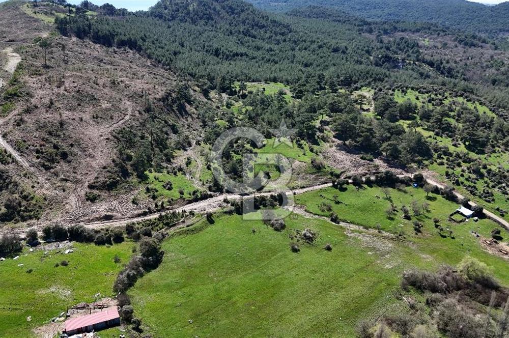 ÇANAKKALE AYVACIK KAYALAR KÖYÜNDE 8.004 m² SATILIK TARLA