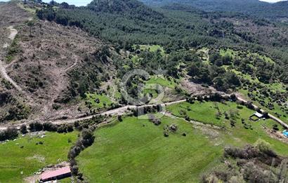 ÇANAKKALE AYVACIK KAYALAR KÖYÜNDE 8.004 m² SATILIK TARLA