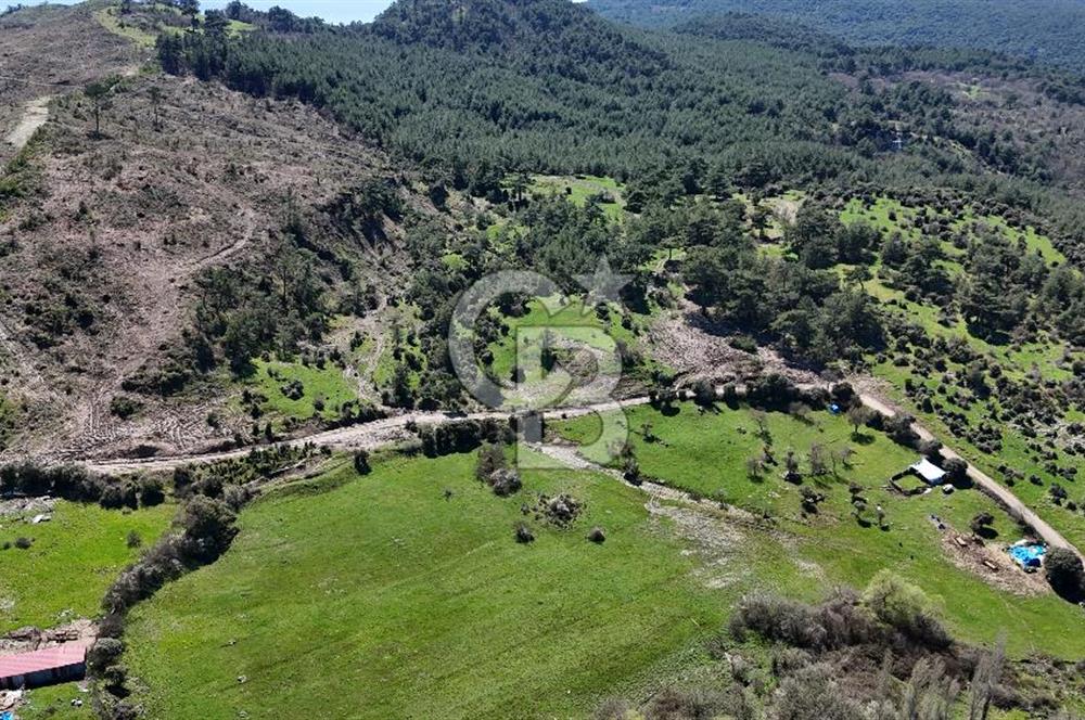 ÇANAKKALE AYVACIK KAYALAR KÖYÜNDE 8.004 m² SATILIK TARLA