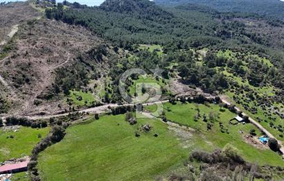 ÇANAKKALE AYVACIK KAYALAR KÖYÜNDE 8.004 m² SATILIK TARLA